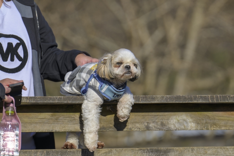 DSC1167-NEF_DxO_DeepPRIMEXD