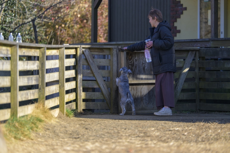 DSC2086-NEF_DxO_DeepPRIMEXD