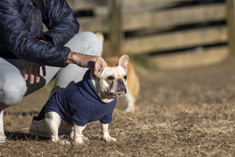 c95fcb1adcdfba77bad132e7ac55bce4