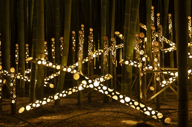 DSC0609-NEF_DxO_DeepPRIMEXD