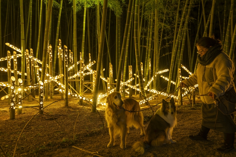 DSC0614-NEF_DxO_DeepPRIMEXD