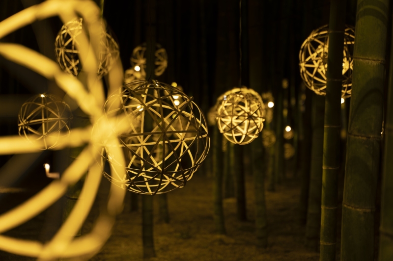 DSC0639-NEF_DxO_DeepPRIMEXD