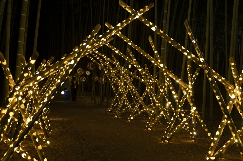 DSC0663-NEF_DxO_DeepPRIMEXD