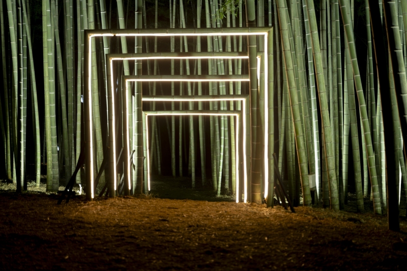 DSC0676-NEF_DxO_DeepPRIMEXD