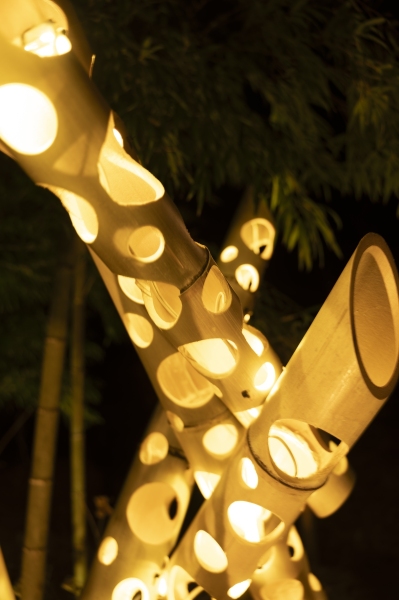 DSC0815-NEF_DxO_DeepPRIMEXD