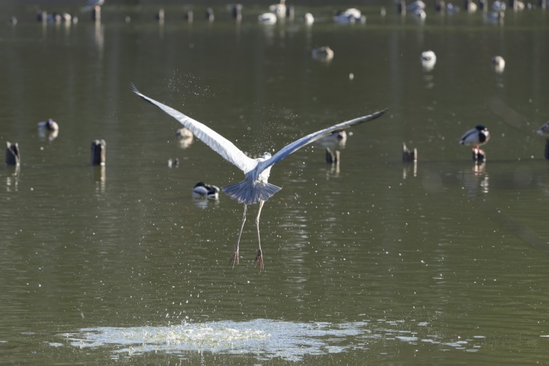 2023-01-17_09-44-27_778