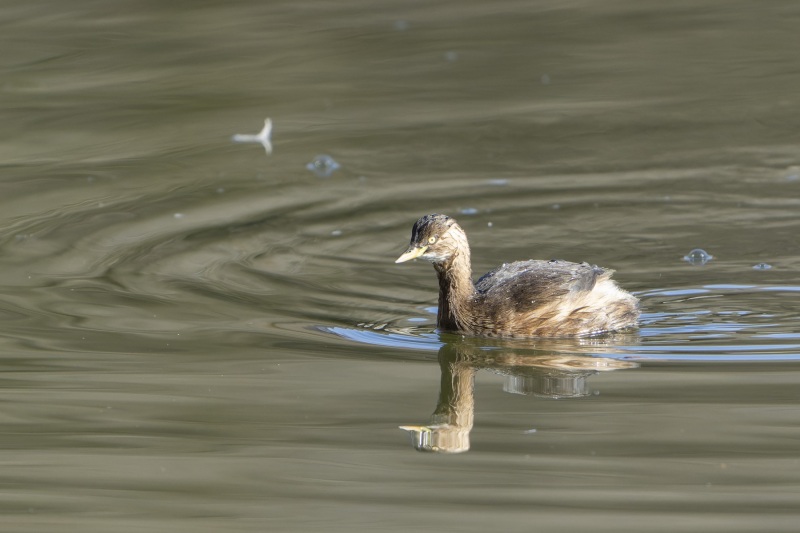 2023-01-17_09-57-07_667