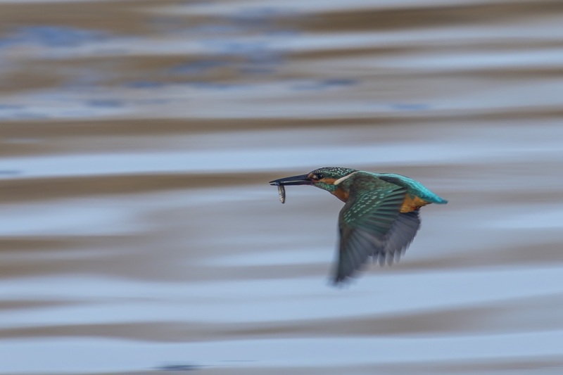 2023-01-18_07-57-56_583